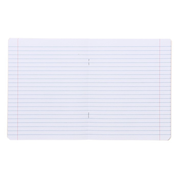 Комплект тетрадей из 10 штук, 18 листов в линию Calligrata Комплект тетрадей из 10 штук, 18 листов в линию Calligrata "Еноты", обложка мелованный картон, ВД-лак, блок офсет, 5 видов по 2 штуки