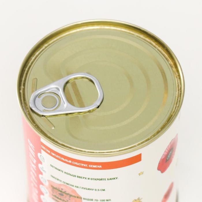 Растущий подарок травка "Хризантема"