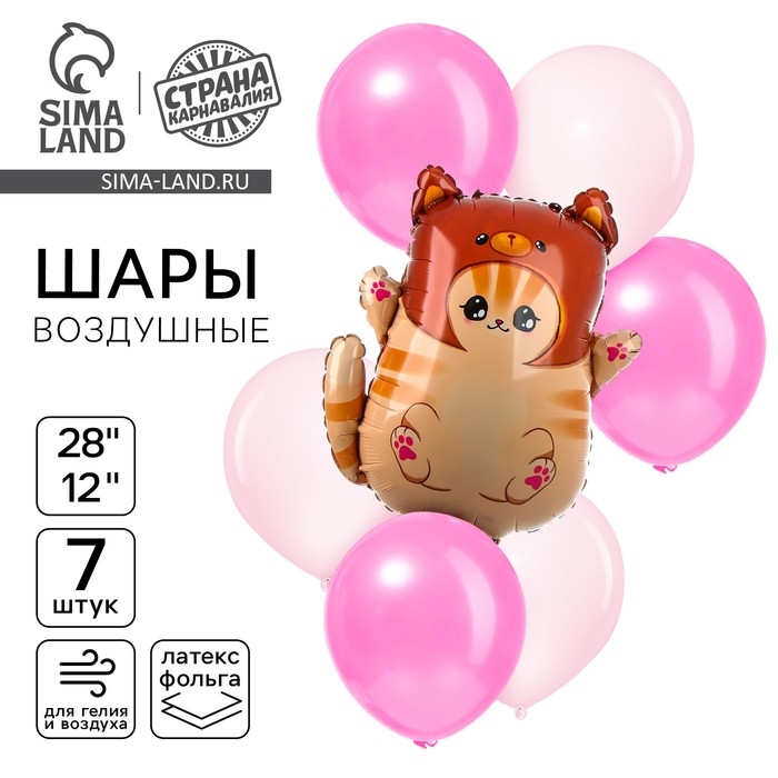 Набор воздушных шаров  Набор воздушных шаров "Котик в шапке", фольга 1 шт., латекс 6 шт.