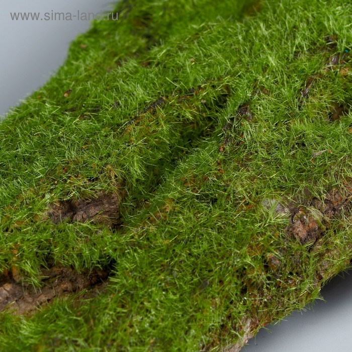 Кора дерева для декора Кора дерева для декора "Blumentag" (набор 4 шт)