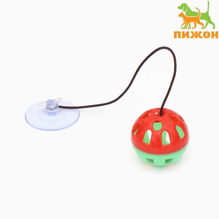 Шарик для кошек на присоске с бубенчиком, 4 см, красная/зеленая Шарик для кошек на присоске с бубенчиком, 4 см, красная/зеленая