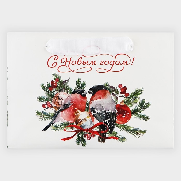 Пакет подарочный новогодний с широким дном «Снегири», 20 х 14 х 13.2 см, Новый год Пакет подарочный новогодний с широким дном «Снегири», 20 х 14 х 13.2 см, Новый год
