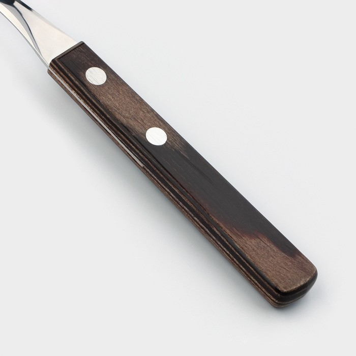 Вилка столовая Tramontina Polywood, длина 19 см, цвет коричневый Вилка столовая Tramontina Polywood, длина 19 см, цвет коричневый