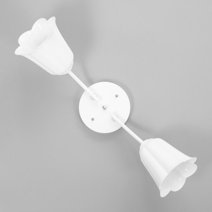 Люстра Люстра "Онлайн" (цветок) 2х15Вт Е27 МОДЕЛЬ: BR 00196 белый