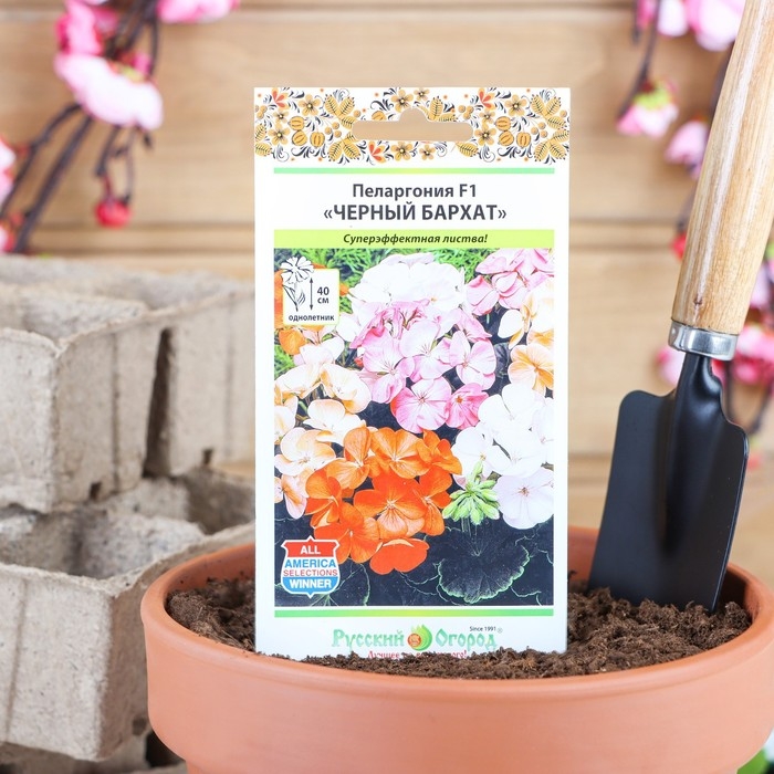 Семена цветов Пеларгония Семена цветов Пеларгония "Черный бархат", смесь 5 шт