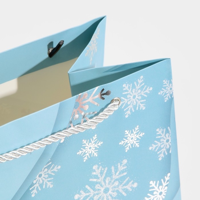 Пакет подарочный новогодний ламинированный «Лёд», 21 х 30 х 15 см, Новый год Пакет подарочный новогодний ламинированный «Лёд», 21 х 30 х 15 см, Новый год