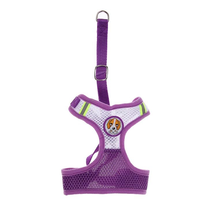 Шлейка регулируемая дышащая, светоотражающая, размер XL (ОШ 48-68; ОГ 58-72 см), фиолетовая Шлейка регулируемая дышащая, светоотражающая, размер XL (ОШ 48-68; ОГ 58-72 см), фиолетовая