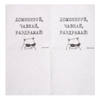 Салфетки бумажные однослойные "Доминируй,чавкай,раздражай", 24х24 см, набор 20 шт.