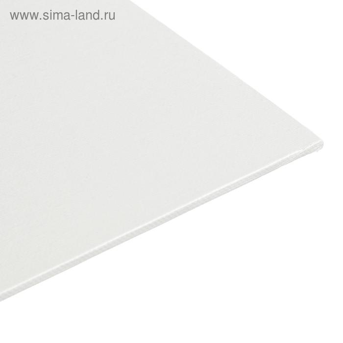 Холст на картоне 40 х 60 см, хлопок 100%, акриловый грунт, мелкозернистый, Холст на картоне 40 х 60 см, хлопок 100%, акриловый грунт, мелкозернистый, "Студия"