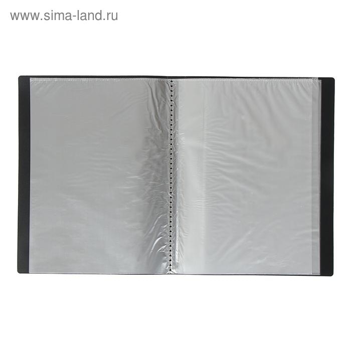 Папка с 40 вкладышами Calligrata А4, 400мкм, МИКС Папка с 40 вкладышами Calligrata А4, 400мкм, МИКС