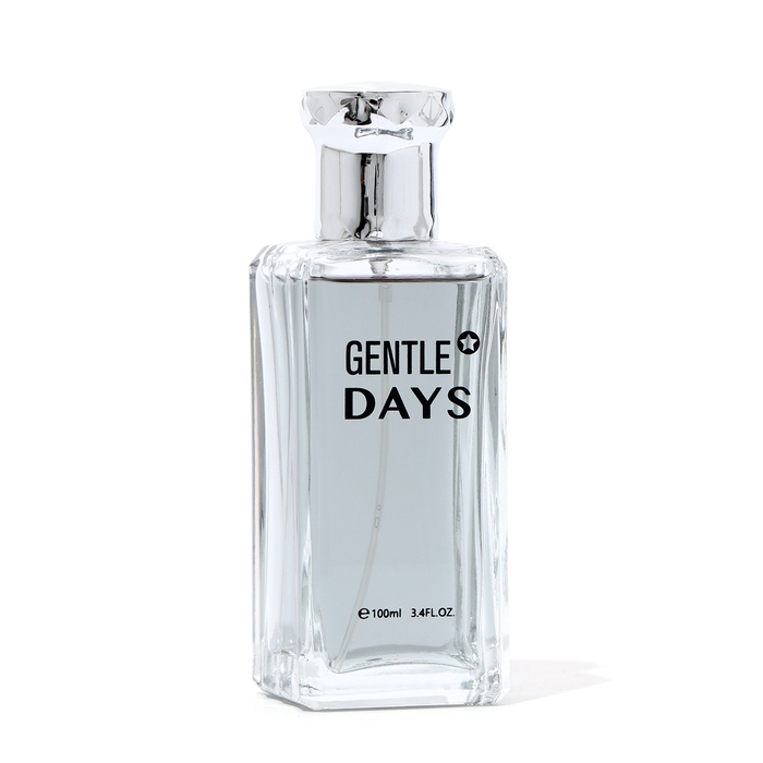 Туалетная вода мужская Gentle Days, 100 мл Туалетная вода мужская Gentle Days, 100 мл