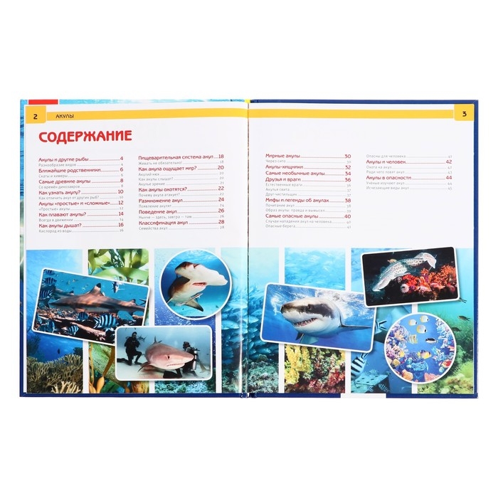 Энциклопедия с развивающими заданиями «Акулы» Энциклопедия с развивающими заданиями «Акулы»