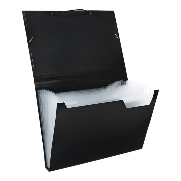 Папка картотека А4, Calligrata, 13 отделений, пластиковая, 700 мкм, чёрная Папка картотека А4, Calligrata, 13 отделений, пластиковая, 700 мкм, чёрная