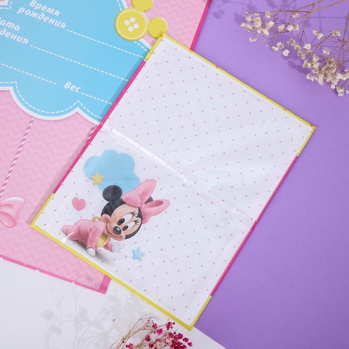 Обложка для документов набор  Обложка для документов набор "Мои первые документы", Минни Маус, 21х30 см