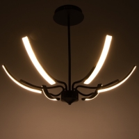 Люстра "Элеганс" LED 48Вт 3000-6000К черный 80х80х45 см BayerLux
