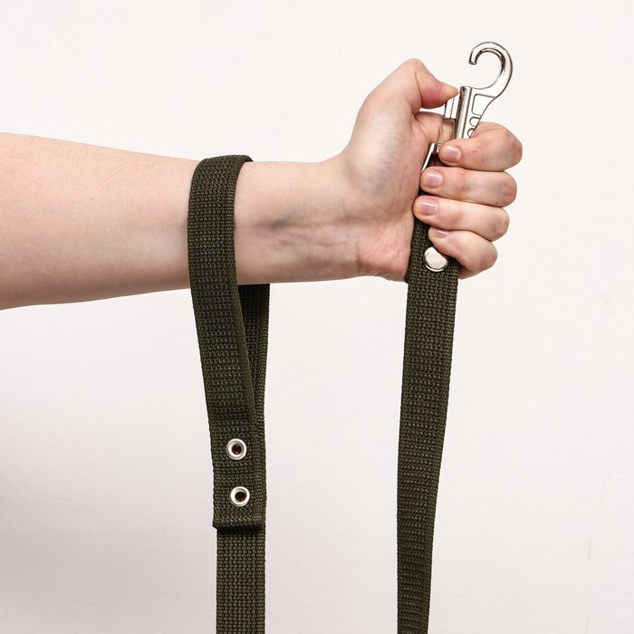 Поводок брезентовый 3 м х 2,5 см, тёмно-зелёный Поводок брезентовый 3 м х 2,5 см, тёмно-зелёный