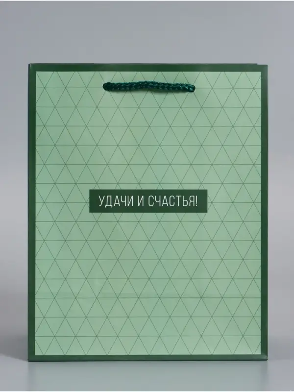 Пакет подарочный ламинированный &laquo;Минимализм в деталях&raquo;, травяной, 18&times;22.3&times;10 см
