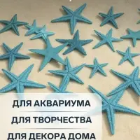 Набор натуральных морских звезд, 1.5 - 2.5 см, 20 шт., синий