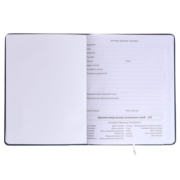 Дневник универсальный для 1-11 класса "Герб", твёрдая обложка, искусственная кожа, синяя обложка, ляссе, 80 г/м2