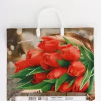 Пакет "Спасибо, полиэтиленовый, пластиковая ручка 37х35 см 90 мкм Пакет "Спасибо, полиэтиленовый, пластиковая ручка 37х35 см 90 мкм