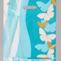 Пакет подарочный Полет мечты  40 х 31 см 60 мкм