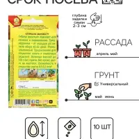Семена Огурец "На засолку", F1, ц/п, 10 шт