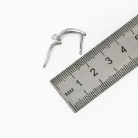 Набор 2 пары швензы с английской застежкой для сережек, 20&times;13 мм, серебро