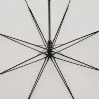 Зонт-трость Jolly Brolly, светло-серый