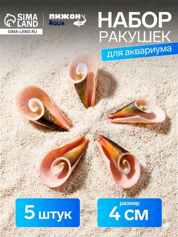 Набор ракушек декоративных, длина 4 см, 5 шт.