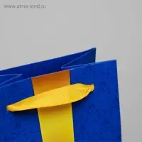 Пакет подарочный под бутылку, упаковка, &laquo;С бантом&raquo;, 36&times;13&times;10 см