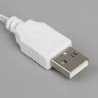 Неоновая вывеска &laquo;Динозавр&raquo; 23.5x24.5 см, от батареек ААх3, USB, свечение зелёное