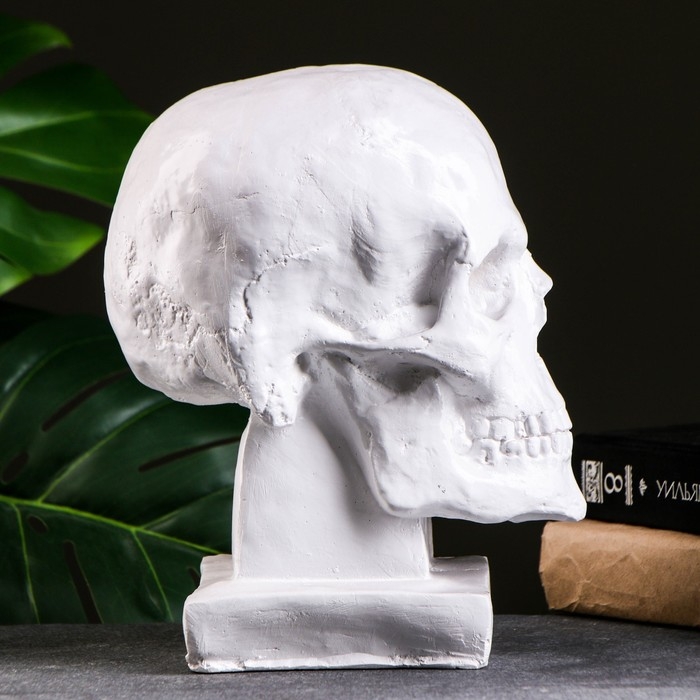 Копилка Копилка "Череп" белая, 23х19см