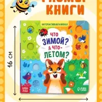 Интерактивная книга &laquo;Что зимой? А что - летом?&raquo;, 10 стр.