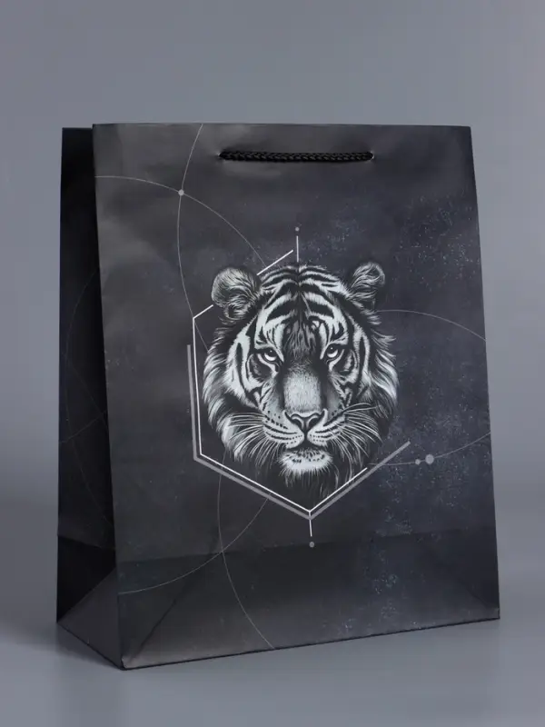 Пакет подарочный "Сила характера" ламинированный 26 х 12 х 32 см