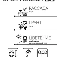 Семена цветов Камнеломка "Цветочный ковер", 0,02 г