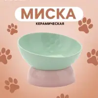 Миска &laquo;Туда-сюда&raquo;, 200 мл, 13.9&times;9.2 см, керамика, зелёная, розовая