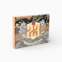 Чай подарочный &laquo;23 февраля&raquo;, 54 г (30 пакетиков &times; 1.8 г).