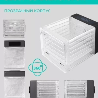 Сушилка для овощей и фруктов, дегидратор T-PFD42149