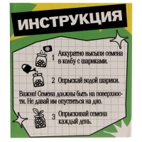 ЭВРИКИ Набор для опытов "Выращиваем травку", зеленый