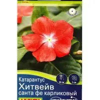 Семена цветов Катарантус Хитвейв санта фе карликовый  Спецсерия Hem Genetics, Ц/П,5 шт.