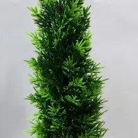 Искусственный цветок в горшке &laquo;Туя стройная&raquo;, 10&times;40 см, h горшка 9 см
