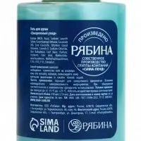 Гель для душа, аромат мятной жвачки, 110 мл, URAL LAB