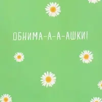 Пакет подарочный ламинированный &laquo;Ромашки - обнимашки&raquo;, 18&times;22.3&times;10 см