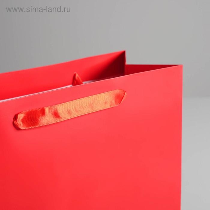 Пакет подарочный, упаковка, «Алый», 26 х 32 х 12 см Пакет подарочный, упаковка, «Алый», 26 х 32 х 12 см