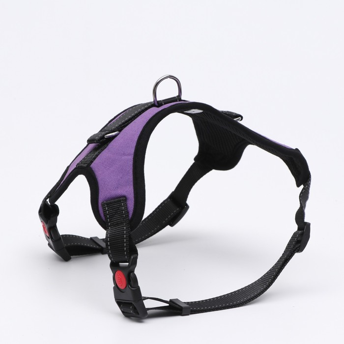 Шлейка К7 мягкая светоотражающая, размер L, ОГ 64-86 см, вес 18- 27,5 кг, фиолетовая Шлейка К7 мягкая светоотражающая, размер L, ОГ 64-86 см, вес 18- 27,5 кг, фиолетовая