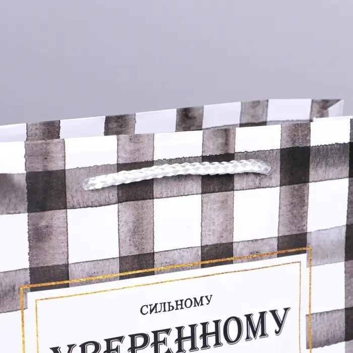 Пакет подарочный ламинированный, упаковка, «Сильному», MS 23 х 18 х 8 см