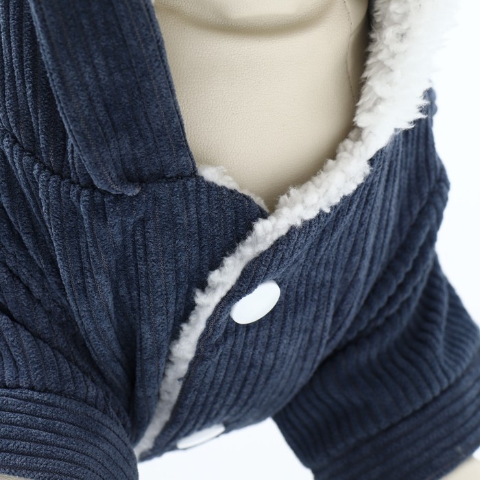 Комбинезон Комбинезон "Малыш", размер XS (ДС 20 см, ОГ 30 см, ОШ 20 см), синий