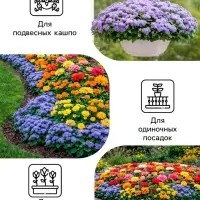 Семена цветов Агератум, голубой, 0.1 г, &laquo;Рецепты дедушки Никиты&raquo;