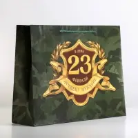 Пакет подарочный ламинированный, упаковка, &laquo;С 23 февраля&raquo;, L 28&times;38&times;9 см