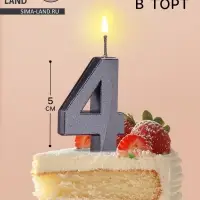 Свеча в торт на шпажке &laquo;Цифра 4&raquo;, черная, 5 см